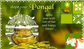 Thai Pongal - The Festival of the Tamils