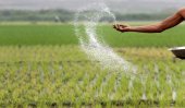 President orders to limit fertilizer prices for farmers