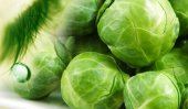 Farmers in turmoil after cabbage crop fails