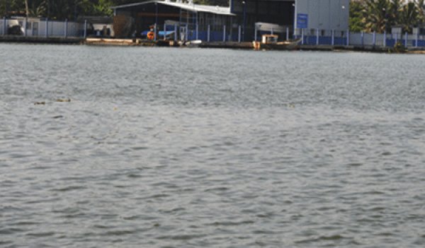 150 factories polluting the Kelani River