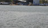 150 factories polluting the Kelani River