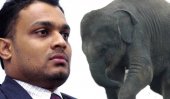Thilina Gamage granted bail