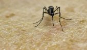Sri Lanka included in Zika map