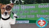 Dog killers strike at Cancer hospital
