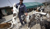 Iran dog lovers face 74 lashes, fines under new law