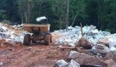 Sinharaja destroyed for illegal mini-hydro project