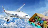 Box of gems stolen at SriLankan flight