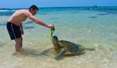 Tourist arrivals in Sri Lanka up 17.8% in 2015