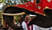 Probes into elephant calves donated by Mahinda