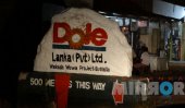 Japans’ Dole grabs land here too