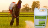 Glyphosate causes cancer (video)