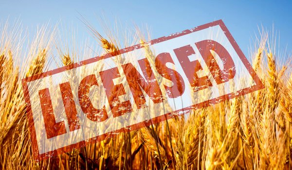 2 ministers given wheat importation licenses