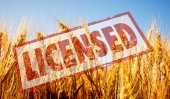 2 ministers given wheat importation licenses