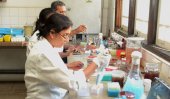 Fort Detrick, Sri Lankan labs work together to fight disease