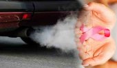 Diesel exhaust fumes cause cancer