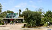 Better earnings by zoos during August vacation