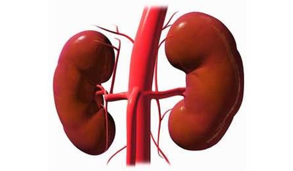 Kidney racket: Sri Lankan health officials involved