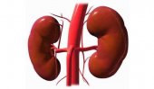 Kidney racket: Sri Lankan health officials involved