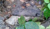 Pamunuwa residents drink muddy water for having voted for UNP?