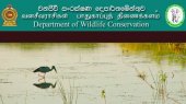 New wildlife chief!