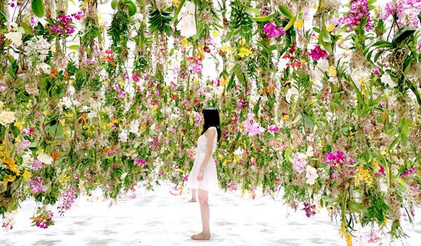 Floating flower garden in Japan