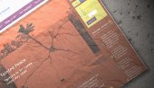 Torture of Tamil detainees in Sri Lanka has continued, says charity