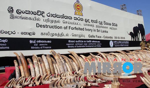 Sri Lanka destroys &#039;Blood Ivory&#039;