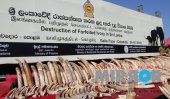 Sri Lanka destroys &#039;Blood Ivory&#039;