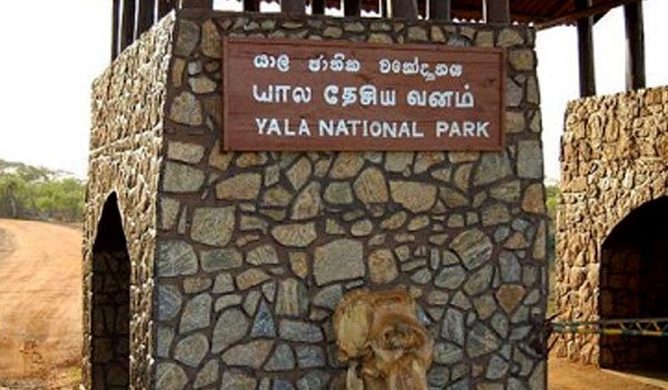 Restricted mobile phone use within Yala