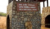 Restricted mobile phone use within Yala