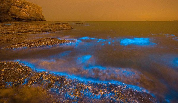 Majestic sparkling blue lights on Chinese shore