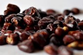 UAE Embassy in Colombo distributes dates in Sri Lanka