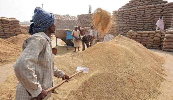 Website to inquire buying and selling of paddy