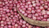 Over Rs 10,000b B-onion scam in Sathosa