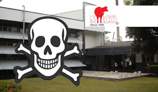 Milco milk tanks contaminated