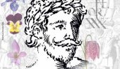 &#039;True face of Shakespeare&#039; appears in botany book