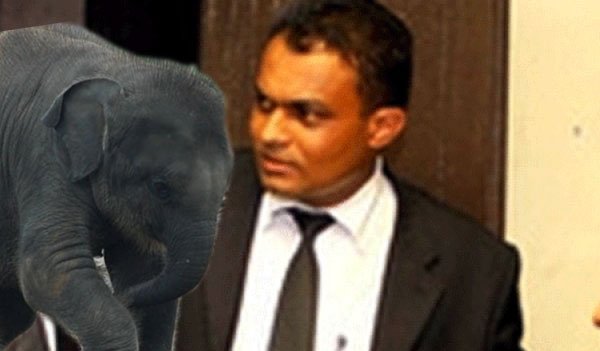 Justice Gamage in hot water over elephant scandal