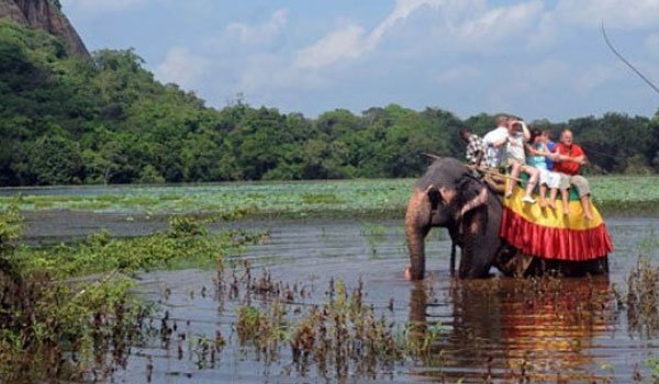 Tourists replace rebels as Sri Lanka national park blooms