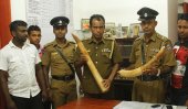 Ritigala tusker’s killers nabbed