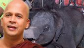 Uduwe Thera lied : Mahout testifies