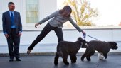 Police nabs man who planned to kidnap Obama&#039;s dogs