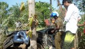 Marasinghe escapes death by a whisker
