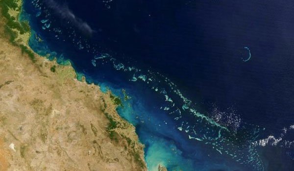 Barrier Reef hit by &#039;worst&#039; bleaching