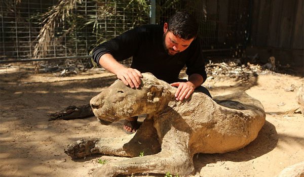World&#039;s worst zoo