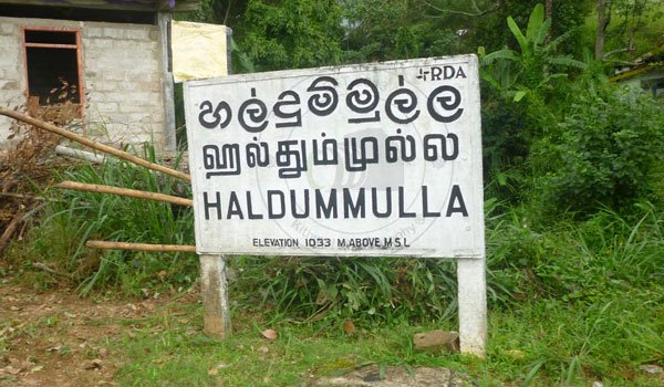 Reserves in Haldummulla made insecure