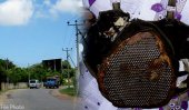 Suicide jacket, explosives found in Chavakachcheri