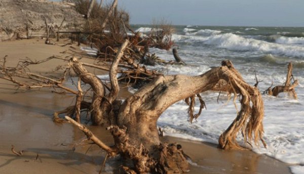 Palliyawatta isle at risk of vanishing to the sea