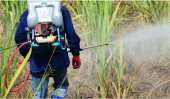 Secret network sells banned agrochemicals in SL