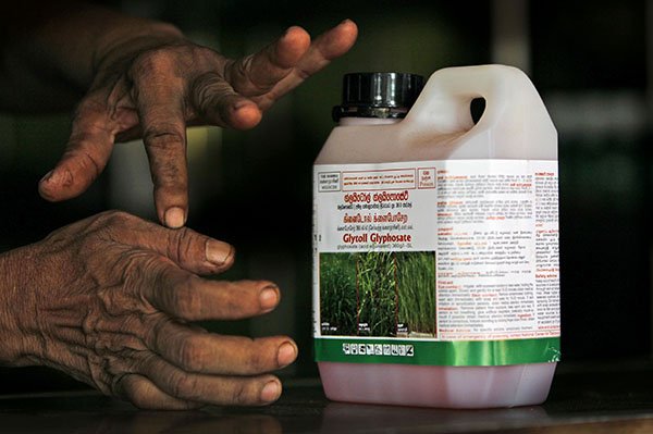 Banned Glyphosate, still available in local market