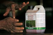 Banned Glyphosate, still available in local market